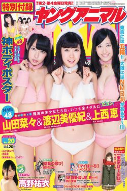 于无声处 电视剧